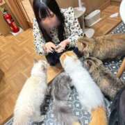 ヒメ日記 2025/11/24 12:48 投稿 ゆの ソープランド看護学院ディエックス