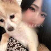 ヒメ日記 2025/11/25 04:25 投稿 ゆの ソープランド看護学院ディエックス