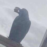 ヒメ日記 2025/12/06 21:28 投稿 ゆの ソープランド看護学院ディエックス