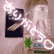 ヒメ日記 2025/12/14 05:58 投稿 ゆの ソープランド看護学院ディエックス