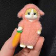 ヒメ日記 2025/12/18 17:07 投稿 ゆの ソープランド看護学院ディエックス