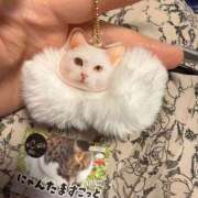 ヒメ日記 2025/12/27 12:08 投稿 ゆの ソープランド看護学院ディエックス