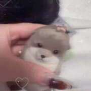 ヒメ日記 2026/01/02 15:58 投稿 ゆの ソープランド看護学院ディエックス