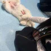 ヒメ日記 2026/01/21 16:08 投稿 ゆの ソープランド看護学院ディエックス