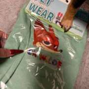 ヒメ日記 2026/02/01 21:08 投稿 ゆの ソープランド看護学院ディエックス