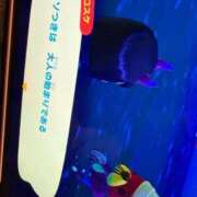 ヒメ日記 2026/02/13 15:32 投稿 ゆの ソープランド看護学院ディエックス