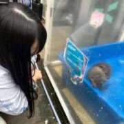 ヒメ日記 2026/02/18 11:03 投稿 ゆの ソープランド看護学院ディエックス