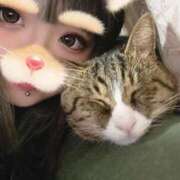 ヒメ日記 2026/02/22 10:31 投稿 ゆの ソープランド看護学院ディエックス