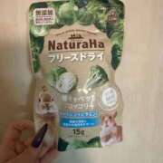 ヒメ日記 2026/02/23 10:16 投稿 ゆの ソープランド看護学院ディエックス