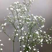 ヒメ日記 2026/02/23 23:38 投稿 ゆの ソープランド看護学院ディエックス