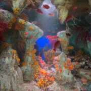 ヒメ日記 2026/02/25 06:38 投稿 ゆの ソープランド看護学院ディエックス