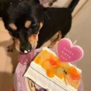 ヒメ日記 2026/02/25 10:18 投稿 ゆの ソープランド看護学院ディエックス