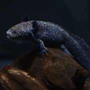 ヒメ日記 2026/02/26 18:38 投稿 ゆの ソープランド看護学院ディエックス