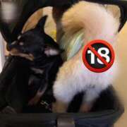 ヒメ日記 2026/03/01 12:28 投稿 ゆの ソープランド看護学院ディエックス