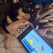 ヒメ日記 2026/03/06 06:28 投稿 ゆの ソープランド看護学院ディエックス