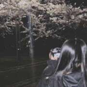 ヒメ日記 2026/04/06 12:58 投稿 ゆの ソープランド看護学院ディエックス