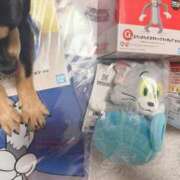 ヒメ日記 2026/04/13 11:38 投稿 ゆの ソープランド看護学院ディエックス