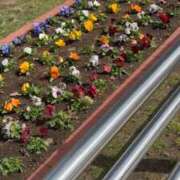 ヒメ日記 2026/04/21 14:28 投稿 ゆの ソープランド看護学院ディエックス