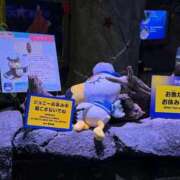 ヒメ日記 2026/04/24 02:28 投稿 ゆの ソープランド看護学院ディエックス