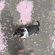 ヒメ日記 2026/05/06 06:38 投稿 ゆの ソープランド看護学院ディエックス