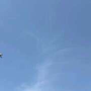ヒメ日記 2026/05/22 12:08 投稿 ゆの ソープランド看護学院ディエックス