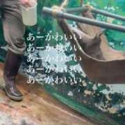 ヒメ日記 2026/06/23 12:48 投稿 ゆの ソープランド看護学院ディエックス