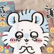 ヒメ日記 2026/08/24 06:39 投稿 ゆの ソープランド看護学院ディエックス
