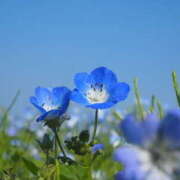 ヒメ日記 2025/05/02 10:27 投稿 そら 栃木♂風俗の神様宇都宮店