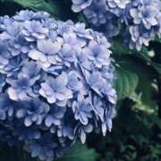 ヒメ日記 2025/06/20 10:17 投稿 そら 栃木♂風俗の神様宇都宮店