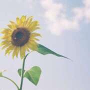 ヒメ日記 2025/07/21 16:17 投稿 そら 栃木♂風俗の神様宇都宮店