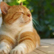 ヒメ日記 2025/04/21 11:39 投稿 もなか 恋愛生欲情の扉