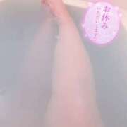 ヒメ日記 2025/03/26 03:49 投稿 りん 大阪和泉ちゃんこ