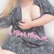 ヒメ日記 2025/05/21 17:49 投稿 りん 大阪和泉ちゃんこ