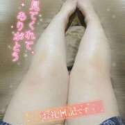 ヒメ日記 2025/08/07 23:49 投稿 りん 大阪和泉ちゃんこ