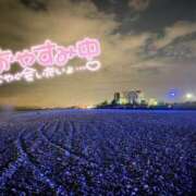 りん 女の子‪𝐃𝐚𝐲‬でお休み中… 大阪和泉ちゃんこ