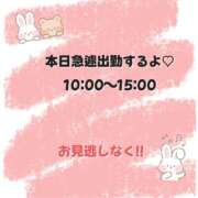 ヒメ日記 2024/11/11 07:15 投稿 白/はく DRESS和歌山