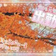 ヒメ日記 2024/11/29 16:20 投稿 みお 福島郡山ちゃんこ