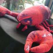 ヒメ日記 2025/03/10 22:03 投稿 樹(いつき) 相模原人妻城