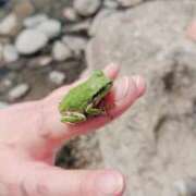 ヒメ日記 2025/03/26 23:18 投稿 樹(いつき) 相模原人妻城