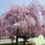 ヒメ日記 2025/03/31 23:03 投稿 樹(いつき) 相模原人妻城