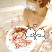 ヒメ日記 2025/04/08 23:03 投稿 樹(いつき) 相模原人妻城