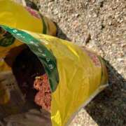 ヒメ日記 2025/04/13 22:03 投稿 樹(いつき) 相模原人妻城