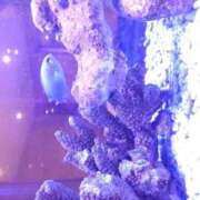 ヒメ日記 2025/04/28 17:03 投稿 樹(いつき) 相模原人妻城