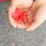 ヒメ日記 2025/05/01 21:03 投稿 樹(いつき) 相模原人妻城