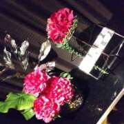 ヒメ日記 2025/05/06 09:42 投稿 樹(いつき) 相模原人妻城