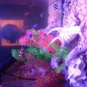 ヒメ日記 2025/05/25 18:57 投稿 樹(いつき) 相模原人妻城