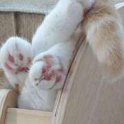 ヒメ日記 2025/05/28 19:57 投稿 樹(いつき) 相模原人妻城