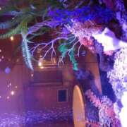 ヒメ日記 2025/06/15 19:48 投稿 樹(いつき) 相模原人妻城