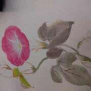 ヒメ日記 2025/07/12 10:36 投稿 樹(いつき) 相模原人妻城