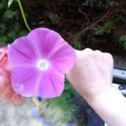 ヒメ日記 2025/07/22 20:48 投稿 樹(いつき) 相模原人妻城